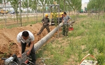 河北尊龙凯时公司环网管线工程建设顺利推进