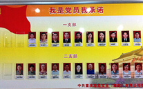 尊龙凯时集团党委开展党员承诺活动