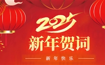 尊龙凯时集团董事长张龙义2025年新年致辞